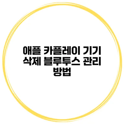 애플 카플레이 기기 삭제 블루투스 관리 방법