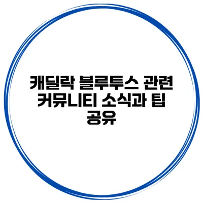 캐딜락 블루투스 관련 커뮤니티 소식과 팁 공유